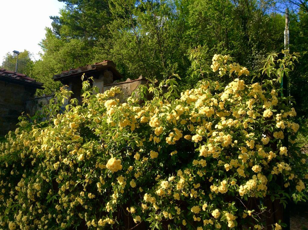 Bed & Breakfast La Paggeria 3*
